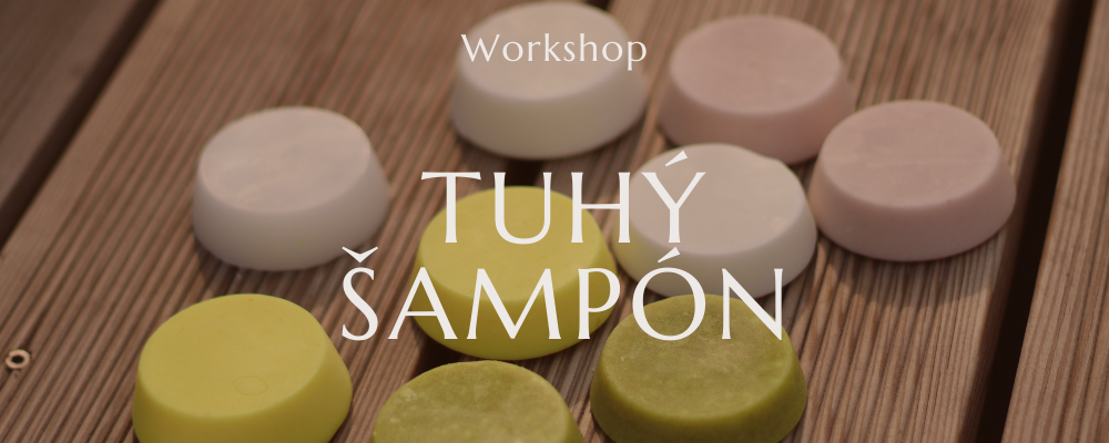 Tuhý šampón - online workshop